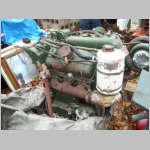SL733361.JPG