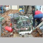 SL733397.JPG