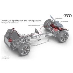Audi-Q5.jpg