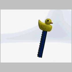 ducky_initial.gif